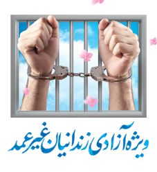 طرح آزادی زندانیان جرائم غیر عمد
